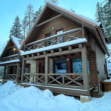 Tatrystay Riverstone Chalets ديمانوفْشكا دولِنا المظهر الخارجي الصورة