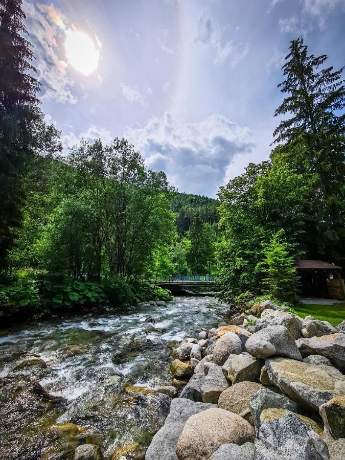 Tatrystay Riverstone Chalets ديمانوفْشكا دولِنا المظهر الخارجي الصورة