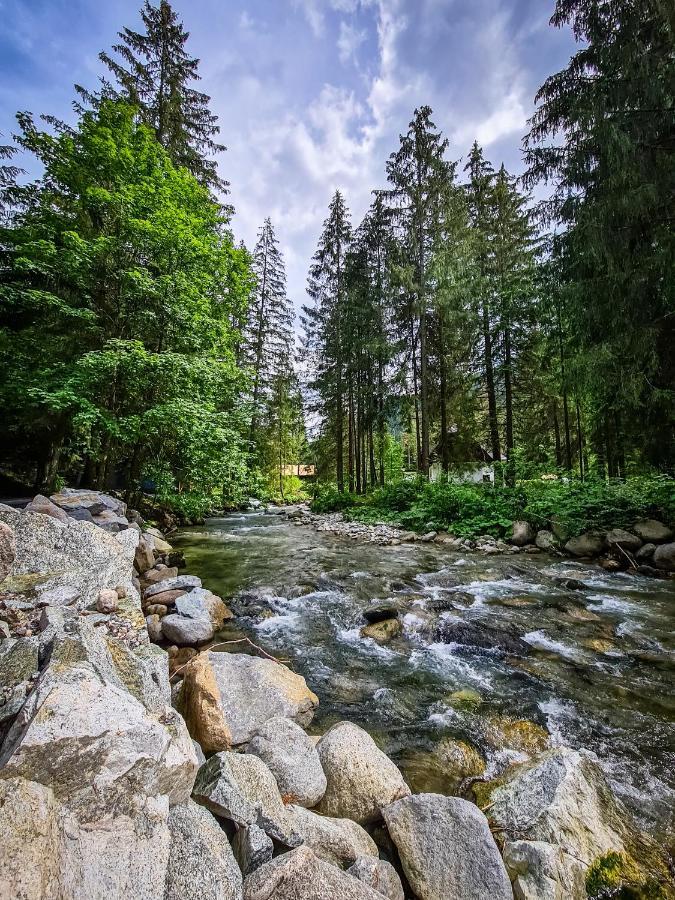 Tatrystay Riverstone Chalets ديمانوفْشكا دولِنا المظهر الخارجي الصورة