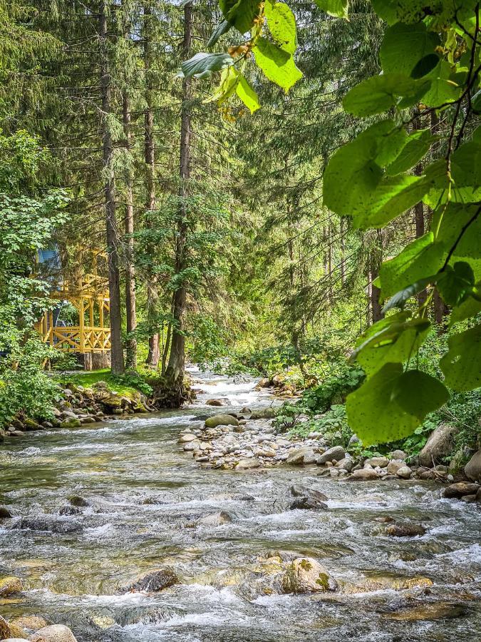 Tatrystay Riverstone Chalets ديمانوفْشكا دولِنا المظهر الخارجي الصورة