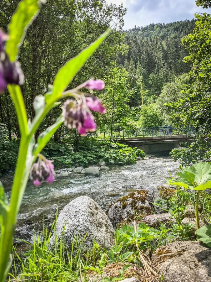 Tatrystay Riverstone Chalets ديمانوفْشكا دولِنا المظهر الخارجي الصورة