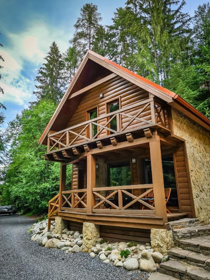 Tatrystay Riverstone Chalets ديمانوفْشكا دولِنا المظهر الخارجي الصورة