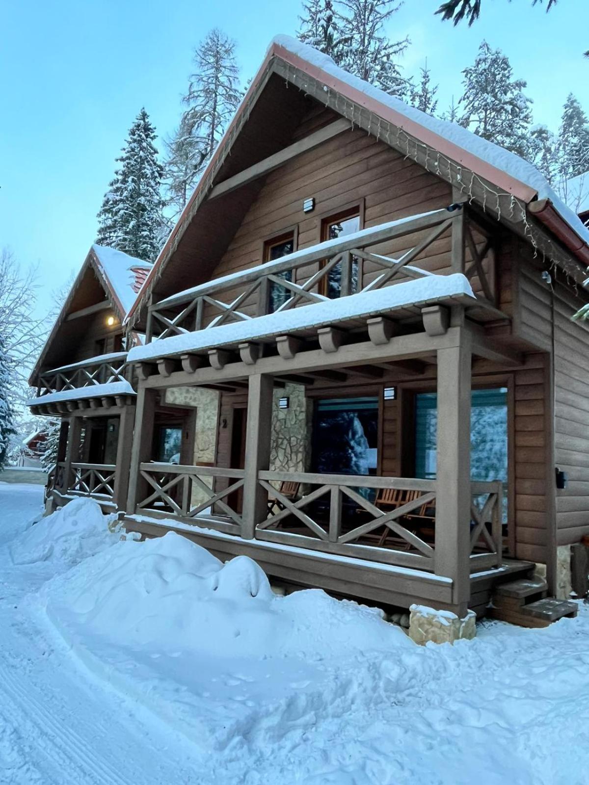 Tatrystay Riverstone Chalets ديمانوفْشكا دولِنا المظهر الخارجي الصورة